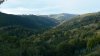 Bosques