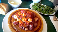 Pulpo