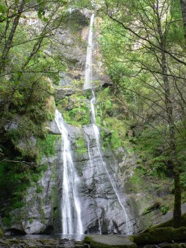 Seimeira de Vilagocende (Ruta do Encoro) a finales de verano