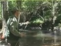 Campeonato de Pesca