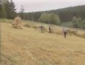 Malla tradicional en Vilalba de Trapa (1)