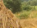 Malla tradicional en Vilalba de Trapa (2)